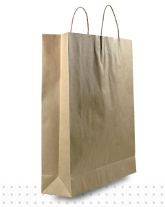 Brown Paper Bags LARGE Regular