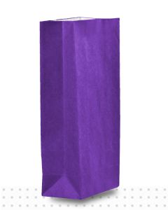 Paper Gift Bags NO.2 Purple Small