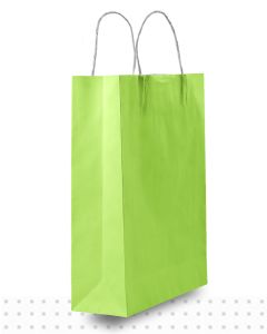 Coloured Paper Bags SMALL Lime Regular