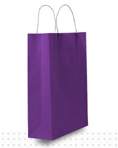 Coloured Paper Bags SMALL Purple Regular